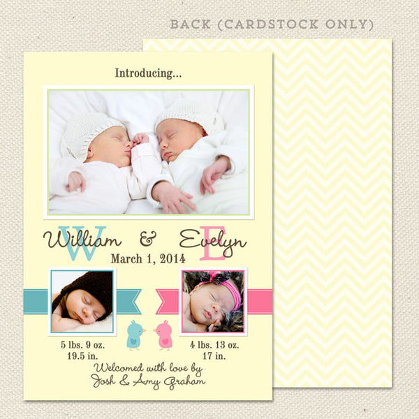 twin bird birth announcement