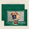 in the dog house pet holiday christmas card green