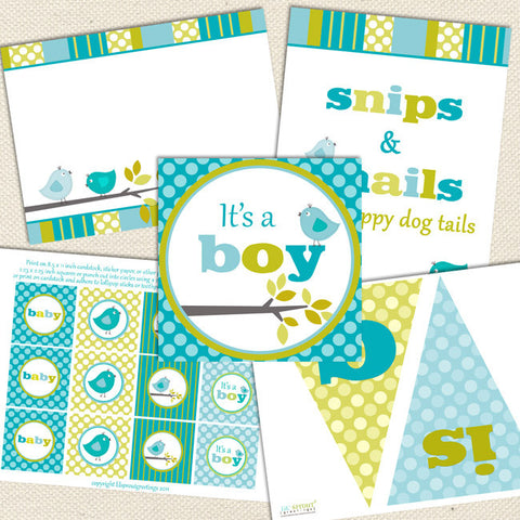 bird boy printable baby shower decorations aqua green