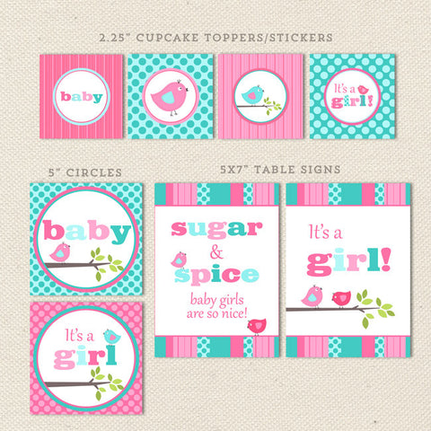 printable baby shower decorations aqua pink bird detail 1