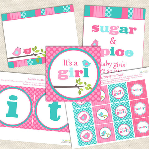 printable baby shower decorations aqua pink bird