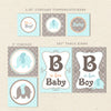 elephant boy baby shower decor