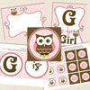 pink owl baby shower decorations
