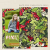 printable-christmas-photo-card-holly-berries-black-bacl